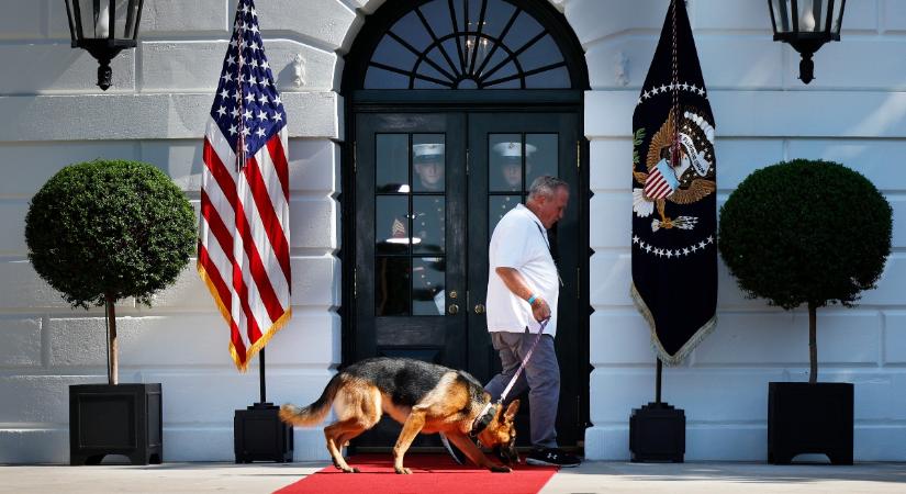 Rosszalkodó elnöki kedvencek: nem csak Joe Biden kutyája támad