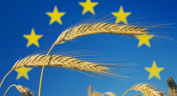 A mezőgazdasági piacok rövid távú kilátása: a bizonytalanság továbbra is állandó jellemzője az EU mezőgazdaságának