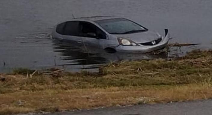 Hatalmas hüllő miatt hajtott vízbe az autós