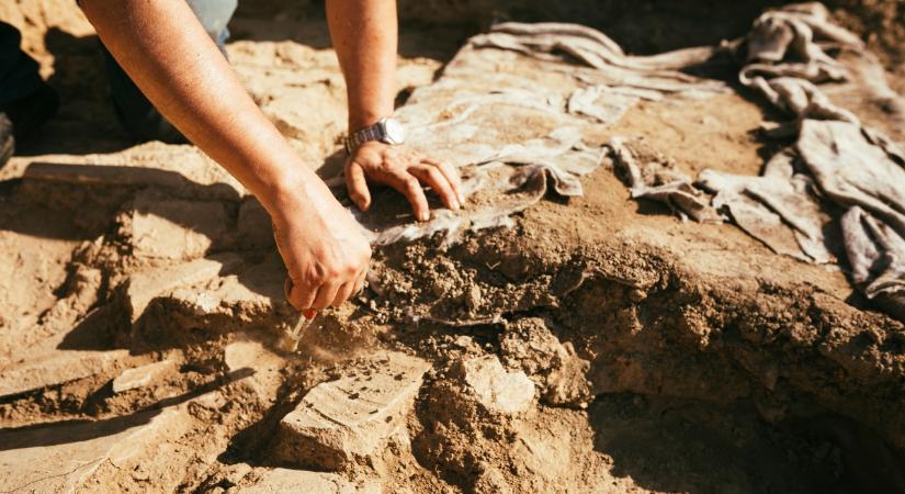 1500 éves, megmagyarázhatatlan kutyasírra bukkantak Zamárdiban