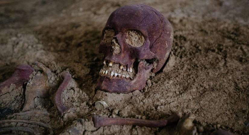 Rejtélyes csontvázakat találtak Hitler főhadiszállásánál