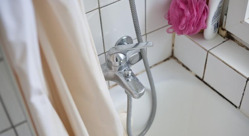 Veszélyes baktérium bukkant fel a magyar fürdőszobákban: sokan nem sejtik, az egészséged múlhat rajta