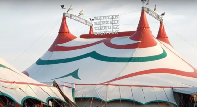 Óriási tévedésben van a Richter Cirkusz balesetének szemtanúja, a magyar sajtó változtatás nélkül hozta le a fals rémhírkeltést