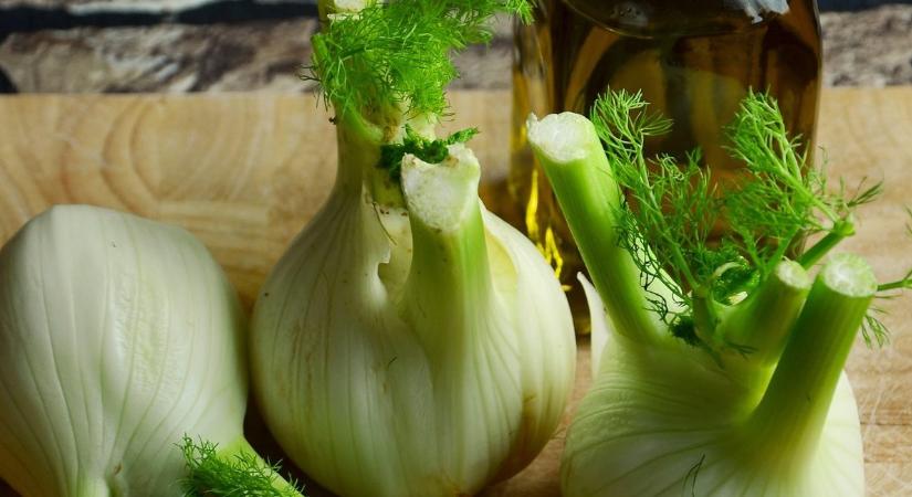 Fűszer, zöldség vagy gyógynövény? – Gumós vagy édeskömény termesztése