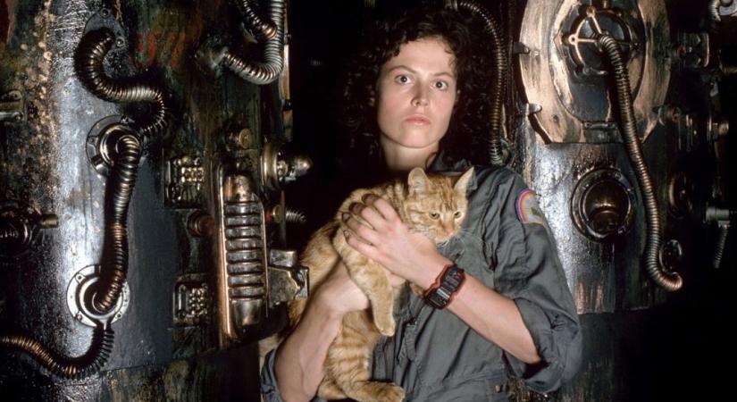 Ellen Ripley nagyokos, idegesítő – és mindenben igaza van