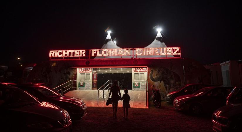 Nyomozás indult a Richter cirkusz előadásán történt súlyos baleset ügyében