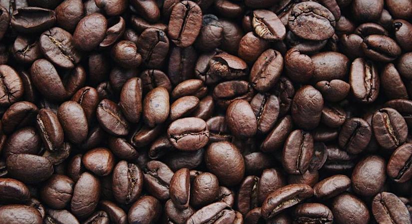 A tudósok szekvenálják az arabica genomot, utat nyitva a klímatűrő kávénak