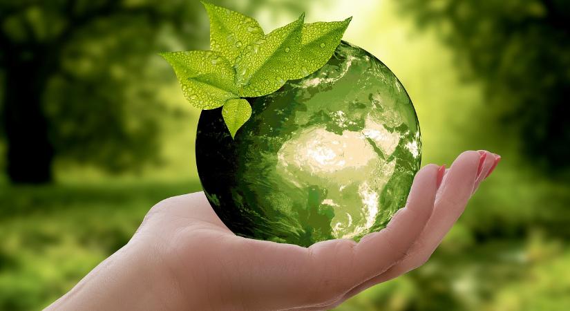 Kutatás a fenntarthatóságról: foglalkozzon vele az állam!