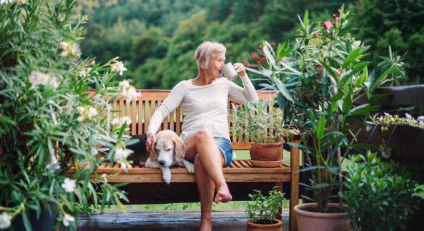 Így mehetnek hamarabb nyugdíjba a nagymamák