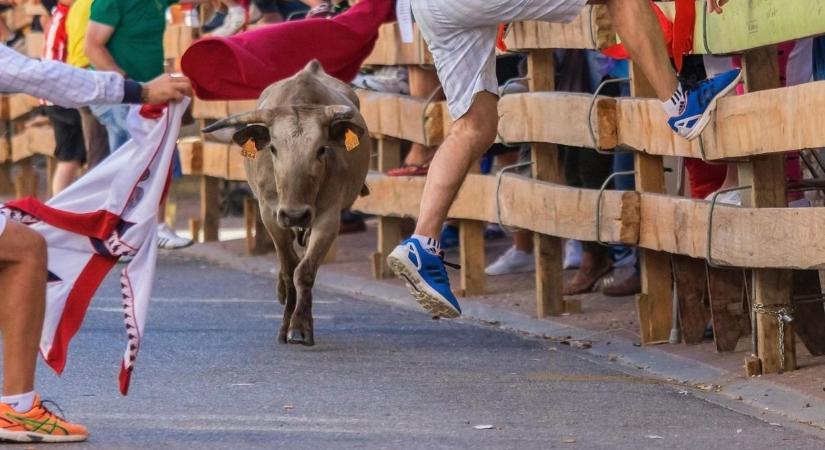 Leszámol a bikaviadal-kultúrával a spanyol szélsőbaloldal
