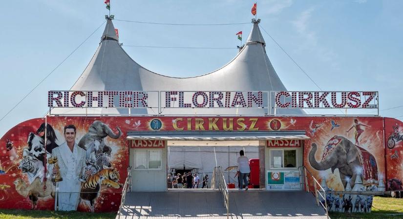 Rendőrségi nyomozás indult a soproni cirkuszbaleset miatt