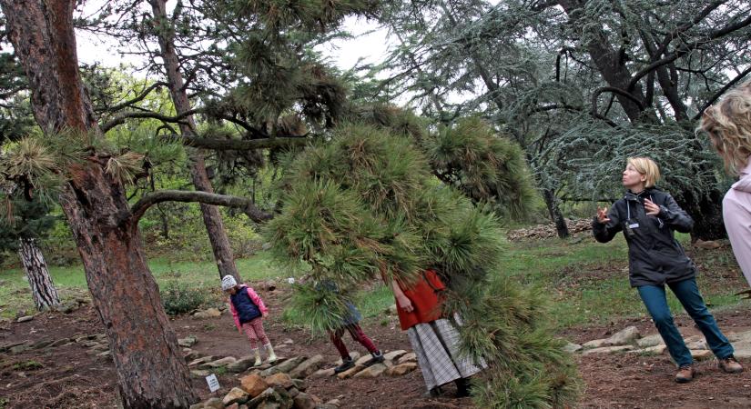 Magyarország nevezetes fáit bemutató kiállítás a badacsonyörsi Folly Arborétumban