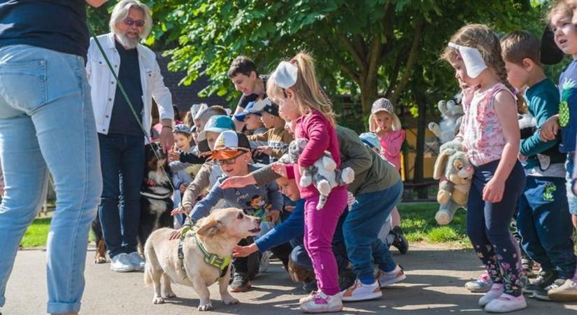 Felelős állattartásra hívja fel a figyelmet egyhetes rendezvénysorozatával a Debreceni Egyetem