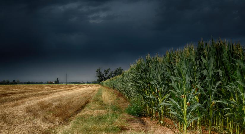 Akkor eső lesz, amilyen rég volt Magyarországon: jön a vihar