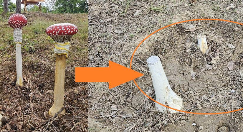 ELKÉPESZTŐ! Két nappal az átadó után vandálok törték le a Meseerdő gombáinak kalapját