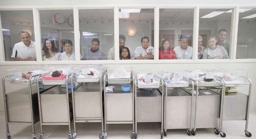 Baby boom: 15 baba született egyetlen év alatt a rendőrségen
