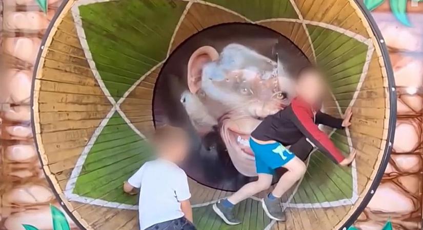 Brutális baleset a dunakeszi majálison: egy kisfiú több ujja is szétroncsolódott