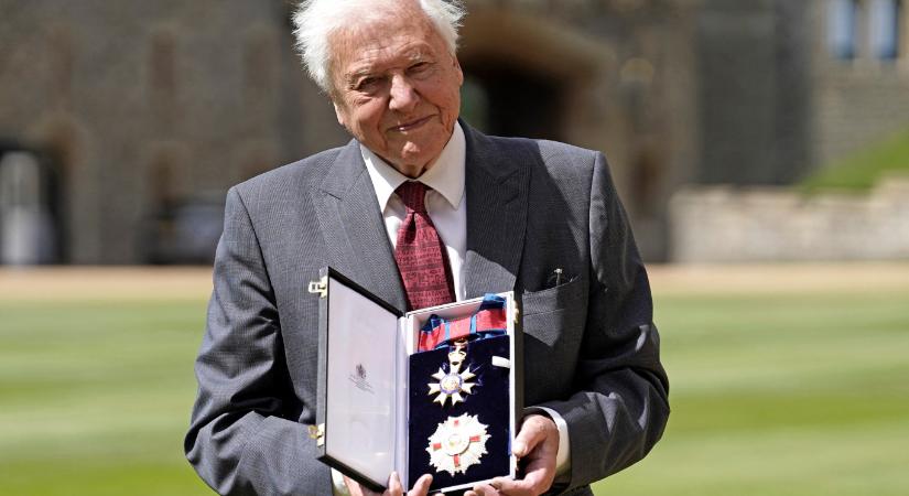 98 éves David Attenborough, aki 70 éve a pályán van, de képtelen pihenni