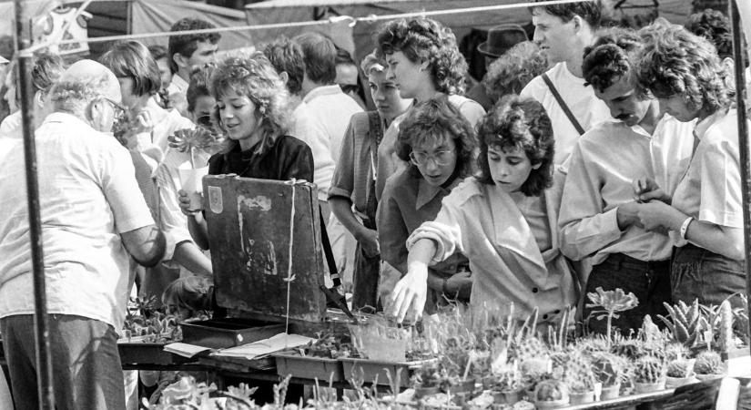 Mihály-napi vásár 1988-ban – 36 éve még Debrecen belvárosában tartották - fotókkal