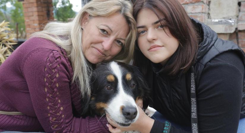 Négylábú hős: Holly kutya mentette ki a tűzből Gabriella családját