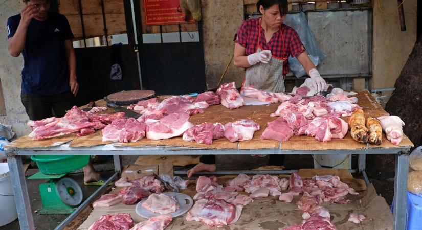 Történelmi: olyan valódi hús jöhet a polcokra, amihez nem kell az állatok levágása