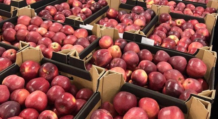 Lengyel almát csempésztek az orosz piacra, lebuktak