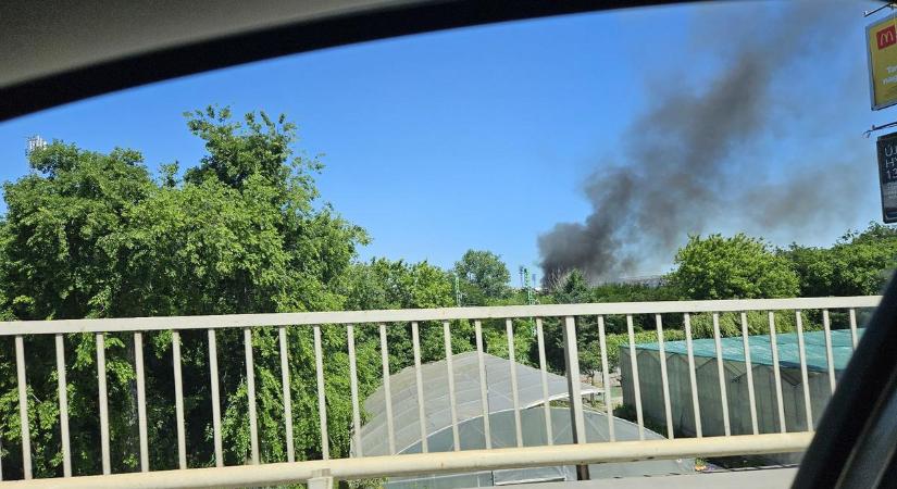Tűz ütött ki Budapesten a Szőnyi úton, hatalmas fekete füst borította be a környéket – fotók