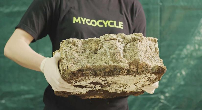 Gombák hasznosítják újra a régi gumiabroncsokat és építési hulladékot