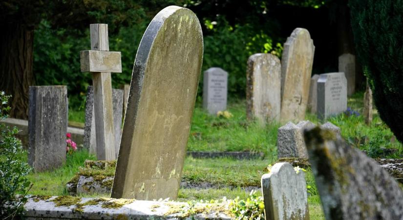 Semmi sem szent: tucatjával lopják a muskátlikat a váci temetőből