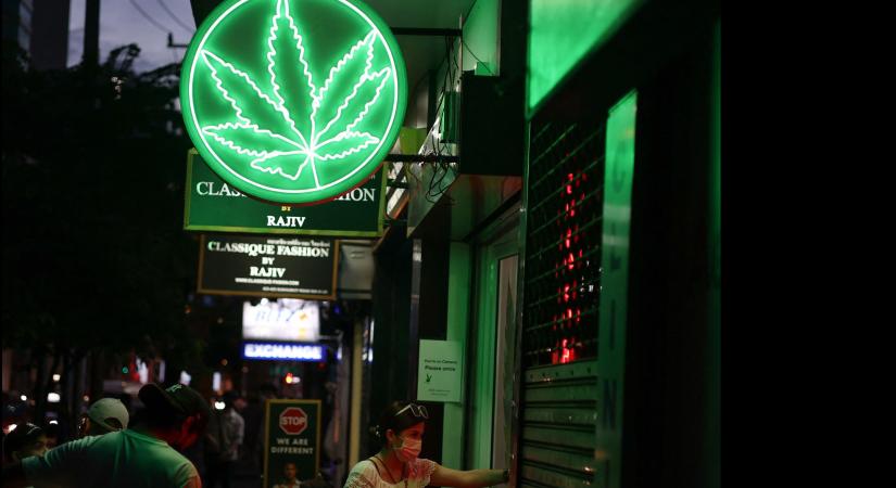 Thaiföldön ismét illegális lesz a marihuána