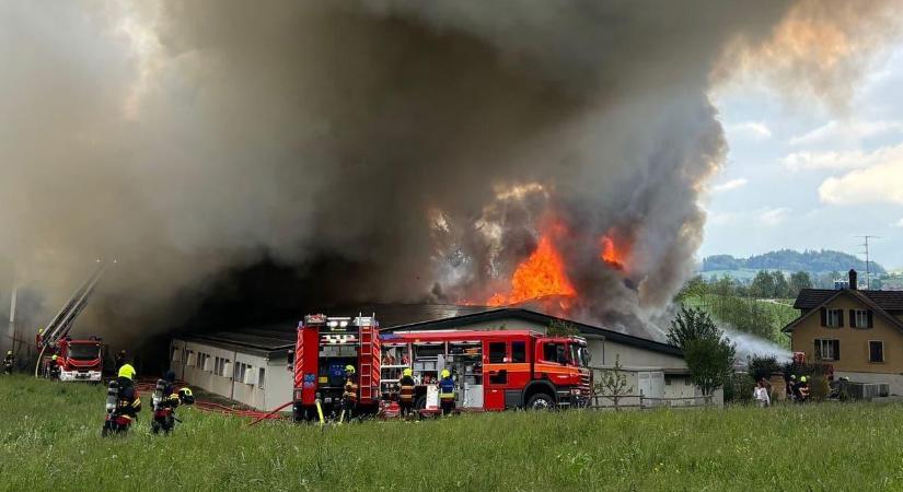 Több száz állat pusztult el egy svájci sertésfarmon keletkezett tűzben