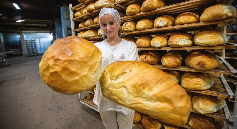 Drágul a kenyér, miközben mélyponton a liszt ára? – debreceni szakembert kérdeztünk