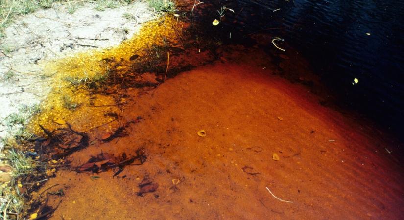 Rákkeltő méreganyag festette narancssárgára a Salgó-patakot