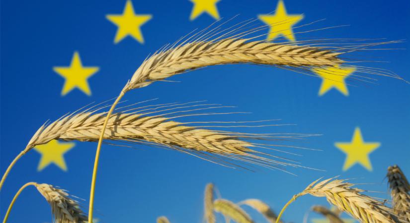 Az EU agrárbiztosa hálás a tüntető gazdáknak