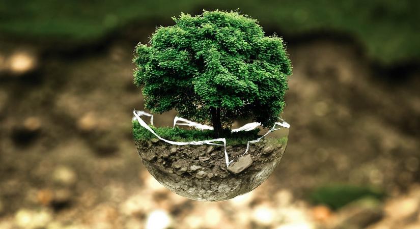 Több mint 60 ezer fenntarthatósági kihívást teljesítettek a HUMDA Zöld Életre Valók kampányában