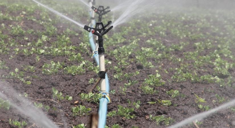 A magyar gazdák 80 százaléka fontosnak tartja a termőterületi vízmegtartást – de mit tesz érte?