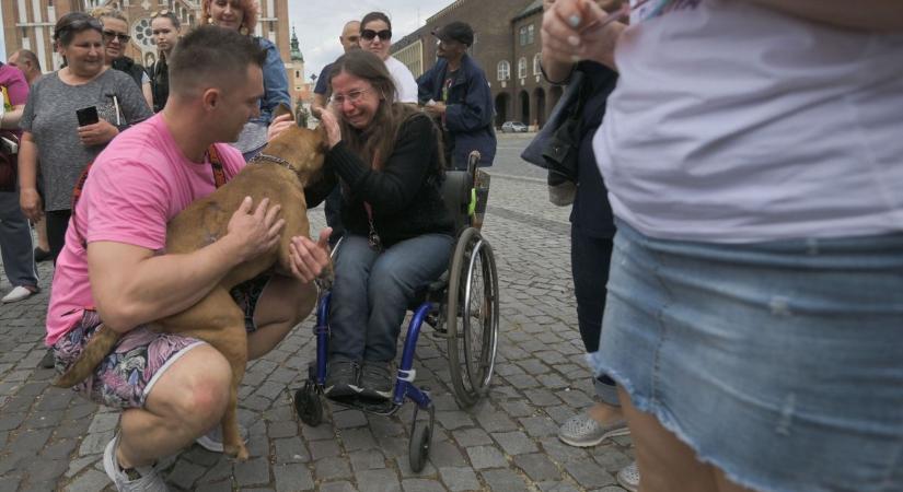Menthetetlennek hitt kutyákat hoztak Szegedre – Galéria