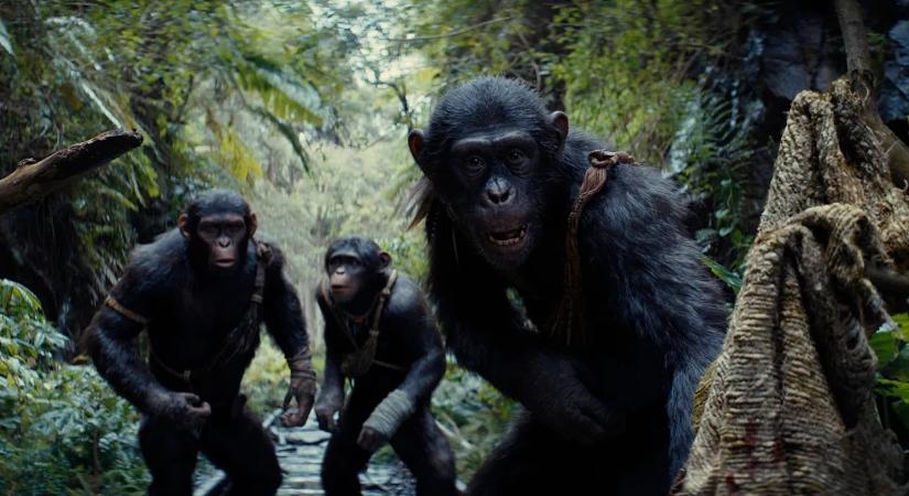 Nem kevesebb mint 9(!) filmmel tervezik befejezni A majmok bolygója-franchise-t