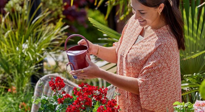 Így lesz pompás egész nyáron a muskátli – Tippek kezdő kertészeknek