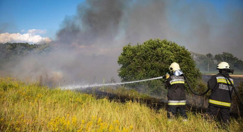 Avarral, gazzal és faággal is küzdöttek a böszörményi tűzoltók