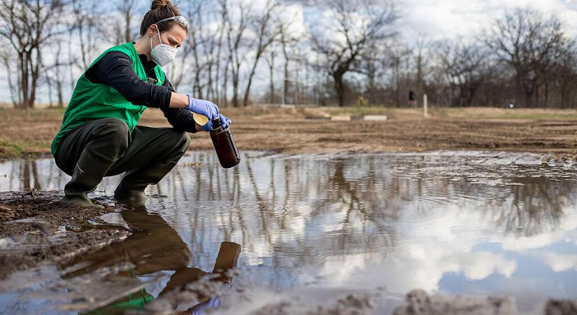 A gödi kommuniális szennyvízben talált akkugyártáshoz használt oldószert a Greenpeace