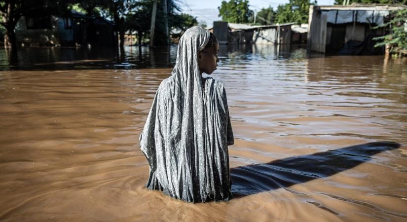 Lángszállítás, tevegelés és gyilkos árvíz a hét legizgalmasabb képein