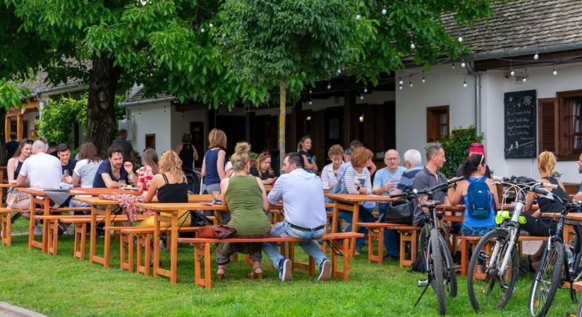 A Neoton Família sztárjaival bulizhatunk Villányban