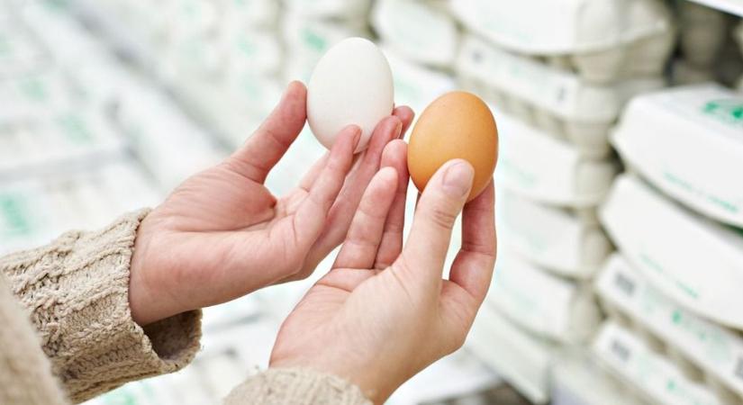 Fehér tojás kontra barna: íme a válasz, miért drágább az egyik
