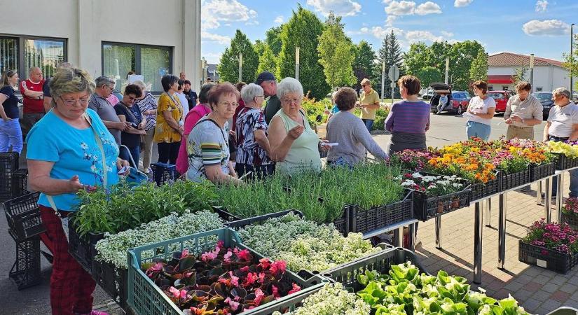 Elindult a Virágos lakótelep program Hajdúszoboszlón – 30 társasház előkertje szépül meg
