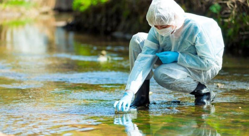 Nem hat a gyógyszer: gyilkos baktériumok tobzódnak a Dunában