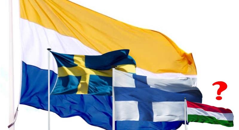 Az álkisebbségvédelem skandináv arcai – a svédországi finnek esete