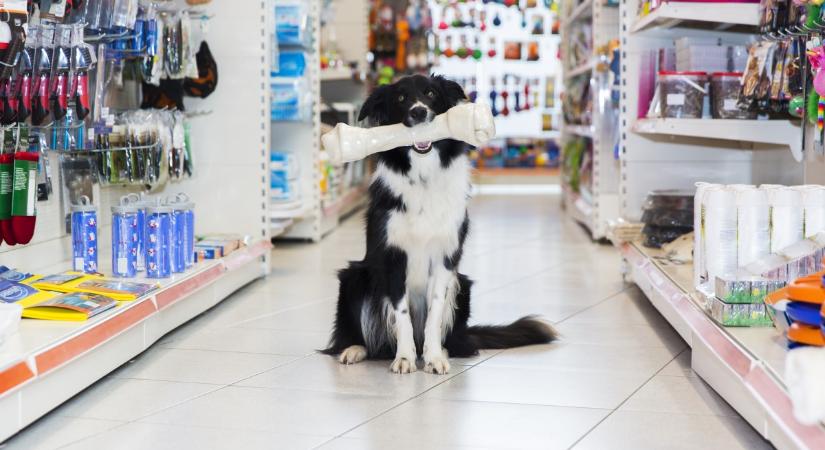 Így biztosítanak privát bolti élményt a reaktív kutyáknak