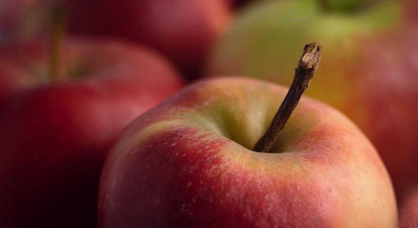 10-20%-os terméskiesést okozhatnak az almaültetvényeket sújtó fagyok