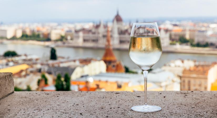 Fontos dolgokat közölt Nagy István a magyar borokkal kapcsolatban